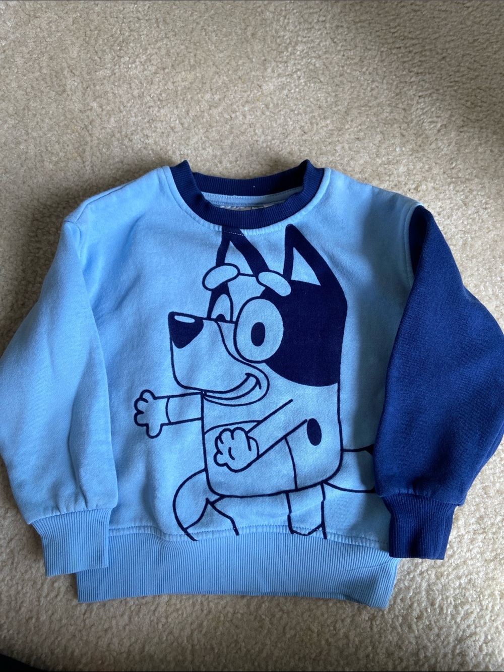 Bluey Kids Sweatshirt